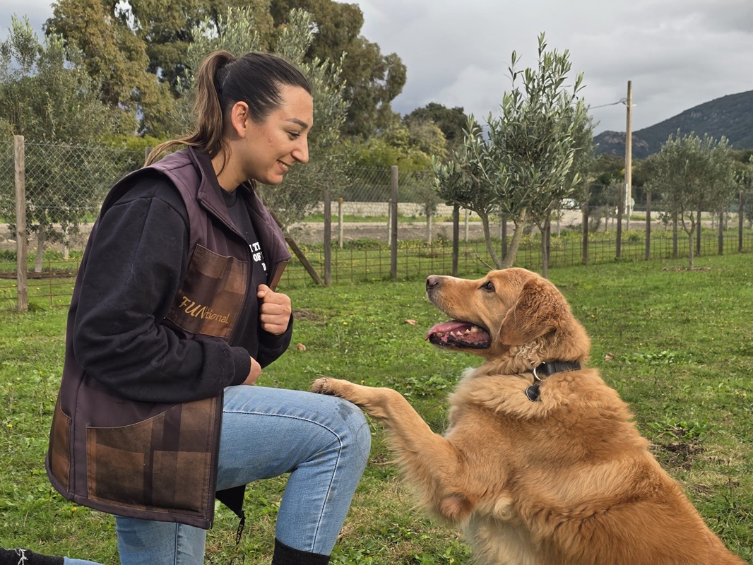 Mélanie, éducatrice canine Déclic Canin, accroupie devant un chien posant sa patte sur son genou lors d’un exercice sur le terrain d’éducation