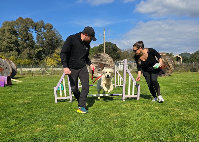 Vue du terrain Urban Mobility utilisé pour des séances d’éducation canine avec Déclic Canin à Ajaccio